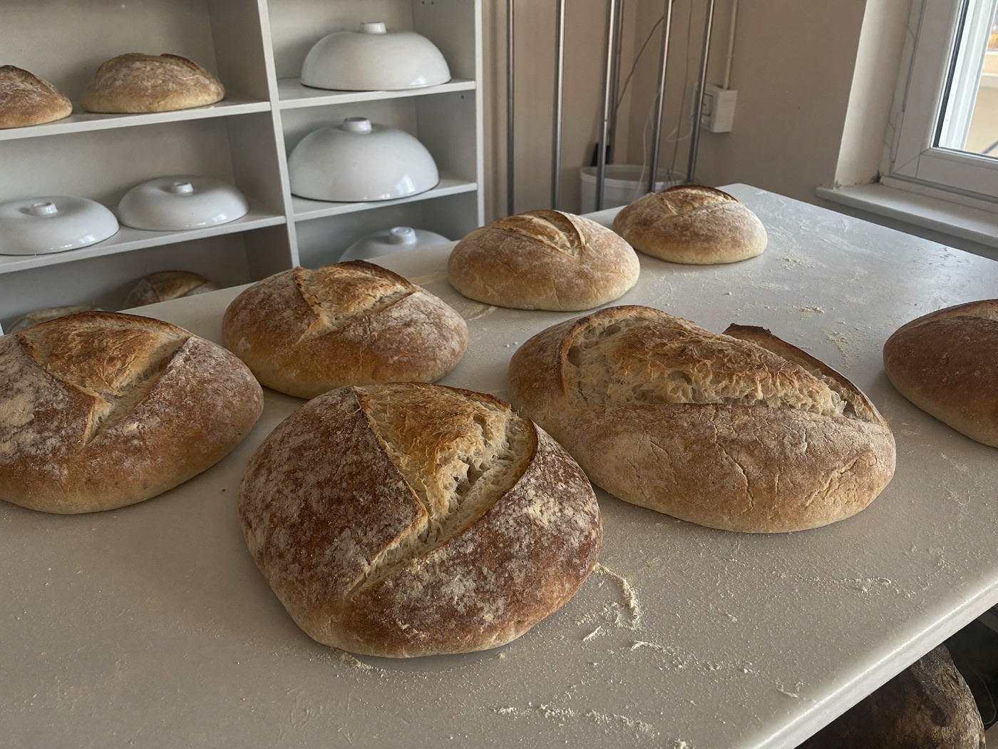 Sourdough loaves on a bakery shelf